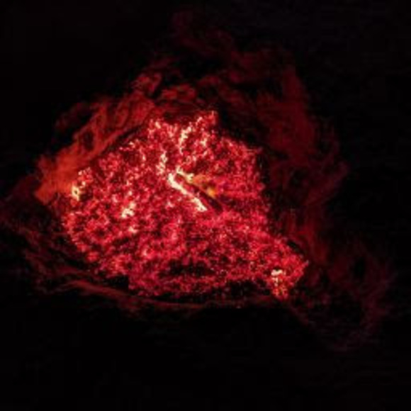 Meet your Posher, Nicole - Picture 1 of 1